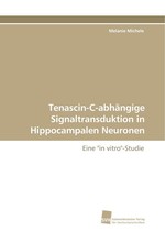 Tenascin-C-abhaengige Signaltransduktion in Hippocampalen Neuronen. Eine "in vitro"-Studie