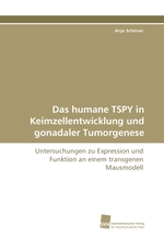 Das humane TSPY in Keimzellentwicklung und gonadaler Tumorgenese. Untersuchungen zu Expression und Funktion an einem transgenen Mausmodell