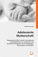 Adoleszente Mutterschaft. Paedagogische Hilfen, soziale Unterstuetzung und Massnahmen zur schulischen und beruflichen Integration von minderjaehrigen Schwangeren und Muettern