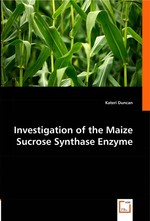 Investigation of the Maize Sucrose Synthase Enzyme