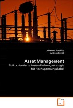 Asset Management. Risikoorientierte Instandhaltungsstrategie fuer Hochspannungskabel