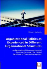 Organizational Politics As Experienced In Different Organizational Structures. An Exploration of How Organizational Structure Can Impact the Political Experience of Executive Management