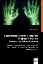 Localization of BMP Receptors in Specific Plasma Membrane Microdomains. Caveolae, Lipid Rafts and Clathrin-coated Pits - Impact of Endocytic Pathways on BMP Signaling