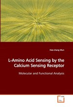 L-Amino Acid Sensing by the Calcium Sensing Receptor. Molecular and Functional Analysis