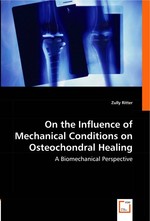 On the Influence of Mechanical Conditions on Osteochondral Healing. A Biomechanical Perspective