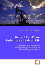 Study Of Two-Phase Performance Inside An ESP. Visualization And Modeling Of Multiphase Performance  Inside An Electrical Submersible Pump