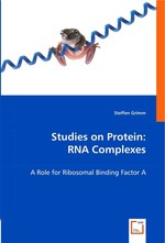 Studies on Protein: RNA Complexes. A Role for Ribosomal Binding Factor A