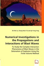 Numerical Investigations in the Propagations and Interactions of Blast Waves. To Study the Complex Interaction Phenomena of Blast Waves in the Detonation of Explosion Using the Finite Volume Method