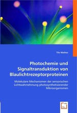 Photochemie und Signaltransduktion von Blaulichtrezeptorproteinen. Molekulare Mechanismen der sensorischen Lichtwahrnehmung photosynthetisierender Mikroorganismen