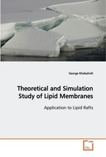 Theoretical and Simulation Study of Lipid Membranes. Application to Lipid Rafts