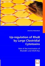 Up-regulation of RhoB by Large Clostridial Cytotoxins. Role of the Inactivation of RhoA/B/C and H/K/N-Ras