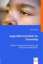 Jugendkriminalitaet im Township. Theorien, Biographieforschung und Praeventionsmassnahmen