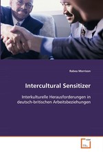 Intercultural Sensitizer. Interkulturelle Herausforderungen in deutsch-britischen Arbeitsbeziehungen