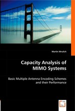 Capacity Analysis of MIMO Systems. Basic Multiple Antenna Encoding Schemes and their Performance