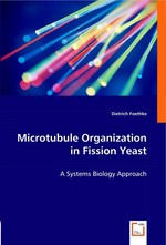 Microtubule Organization in Fission Yeast. A Systems Biology Approach