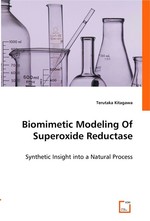 Biomimetic Modeling Of Superoxide Reductase. Synthetic Insight into a Natural Process