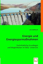 Energie und Energiesparmassnahmen. Fachinhaltliche Grundlagen und Moeglichkeiten im WZG- Unterricht