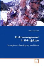 Risikomanagement in IT-Projekten. Strategien zur Bewaeltigung von Risiken