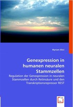 Genexpression in humanen neuralen Stammzellen. Regulation der Genexpression in neuralen Stammzellen durch Retinsaeure und den Transkriptionsrepressor REST