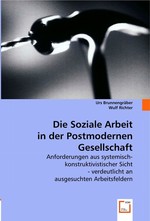 Die Soziale Arbeit in der Postmodernen Gesellschaft. Anforderungen aus systemisch-konstruktivistischer Sicht - verdeutlicht an ausgesuchten Arbeitsfeldern
