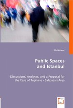 Public Spaces and Istanbul. Discussions, Analyses, and a Proposal for the Case of Tophane - Salipazari Area