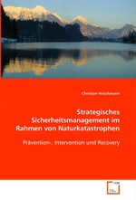 Strategisches Sicherheitsmanagement im Rahmen von Naturkatastrophen. Praevention-, Intervention und Recovery