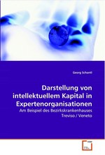 Darstellung von intellektuellem Kapital in Expertenorganisationen. am Beispiel des Bezirkskrankenhauses Treviso / Veneto