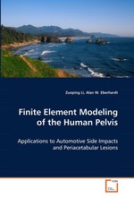 Finite Element Modeling of the Human Pelvis. Applications to Automotive Side Impacts and Periacetabular Lesions