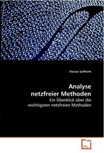 Analyse netzfreier Methoden. Ein Ueberblick ueber die wichtigsten netzfreien Methoden