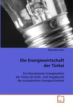 Die Energiewirtschaft der Tuerkei. Ein liberalisierter Energiesektor der Tuerkei als Dreh- und Angelpunkt der europaeischen Energiesicherheit