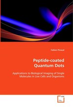 Peptide-coated Quantum Dots. Applications to Biological Imaging of Single  Molecules in Live Cells and Organisms