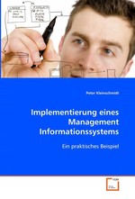 Implementierung eines Management Informationssystems. Ein praktisches Beispiel