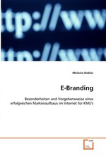 E-Branding. Besonderheiten und Vorgehensweise eines erfolgreichen Markenaufbaus im Internet fuer KMUs