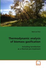 Thermodynamic analysis of biomass gasification. Including torrefaction as a thermal pre-treatment