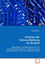 Kriterien der Netzwerkbildung am Beispiel. Moeglichkeiten und Bedingungen fuer eine erfolgreiche Netzwerkarbeit - Untersuchung der Zusammenarbeit in einem internationalen Projekt