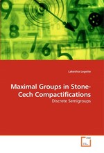 Maximal Groups in Stone-Cech Compactifications. Discrete Semigroups