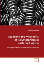 Modeling the Mechanics of Polymorphism in Bacterial Flagella. Development of a phenomenological model