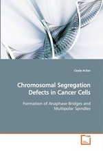 Chromosomal Segregation Defects in Cancer Cells. Formation of Anaphase Bridges and Multipolar Spindles