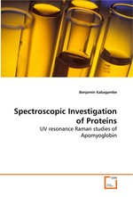 Spectroscopic Investigation of Proteins. UV resonance Raman studies of Apomyoglobin