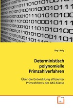 Deterministisch polynomielle Primzahlverfahren. Ueber die Entwicklung effizienter Primzahltests der AKS-Klasse