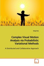 Complex Visual Motion Analysis via Probabilistic  Variational Methods. A Distributed and Collaborative Approach