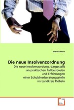 Die neue Insolvenzordnung. Die neue Insolvenzordung, dargestellt an praktischen Fallbeispielen und Erfahrungen einer Schuldnerberatungsstelle im Landkreis Doebeln