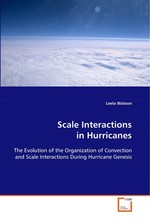 Scale Interactions in Hurricanes. The Evolution of the Organization of Convection and Scale Interactions During Hurricane Genesis