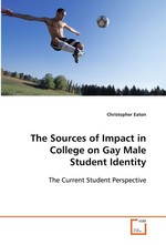 The Sources of Impact in College on Gay Male Student Identity. The Current Student Perspective