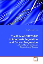 The Role of GRP78/BiP in Apoptosis Regulation and Cancer Progression. A Novel Target for Cancer Diagnosis and Therapy