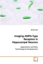 Imaging AMPA-Type Receptors in Hippocampal Neurons. Applications and New Technological Developments