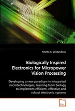 Biologically Inspired Electronics for Micropower Vision Processing. Developing a new paradigm in integrated microtechnologies, learning from biology to implement efficient, effective and robust electronic systems