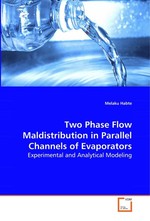 Two Phase Flow Maldistribution in Parallel Channels of Evaporators. Experimental and Analytical Modeling