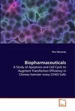 Biopharmaceuticals. A Study of Apoptosis and Cell Cycle to Augment Transfection Efficiency in Chinese hamster ovary (CHO) Cells