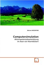 Computersimulation. Aktionspotenzialweiterleitung im Axon von Warmbluetern